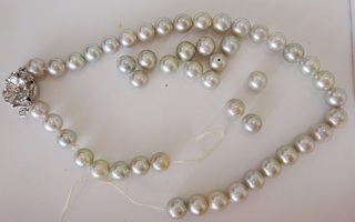 真珠のネックレスバラバラ.JPG